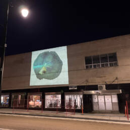 A project of Betty Carpick’s artwork onto the Downtown Fitness building in Thunder Bay, 2023.